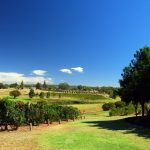 Wine tours in Swan Valley