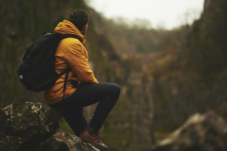 man looking at jungle