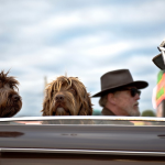 Proven Tips to Keep Your Dog Calm on a Long Car Trip